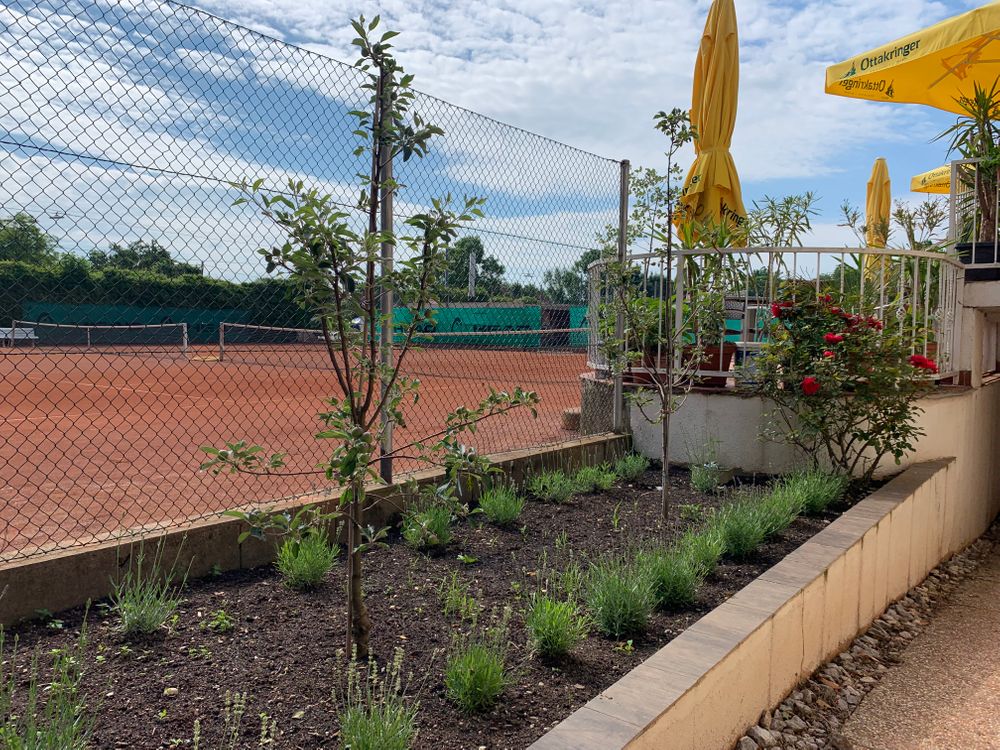 Better Tennis Center Alt Erlaa 1230 Wien Eversports