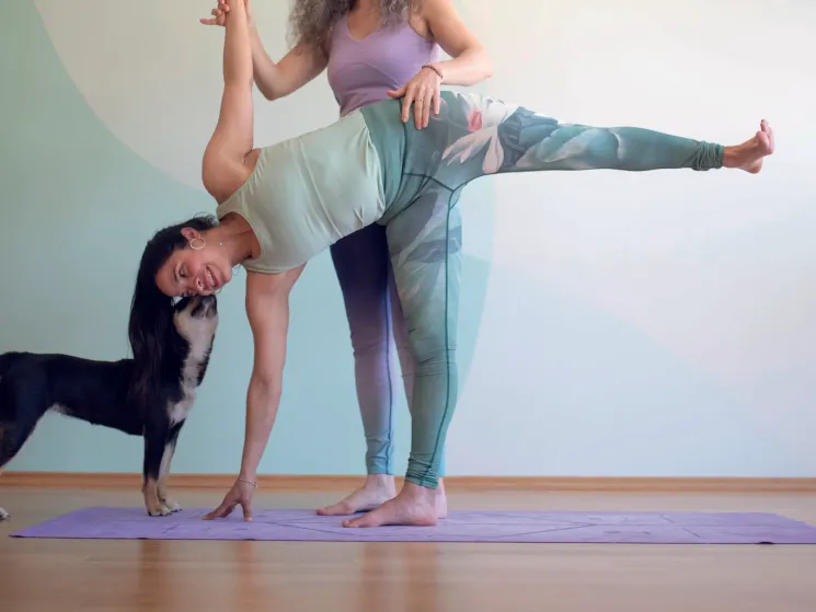 Hands-on - Wenn Berührung Wunder bewirkt @ Studio Yogaflow Münster