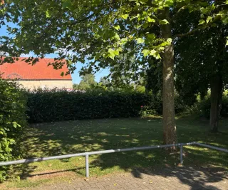 Dieser Anbieter hat keine Bildbeschreibung für dieses Bild hinterlegt