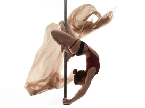 Perfect Transitions @ Pole and Move Heidelberg