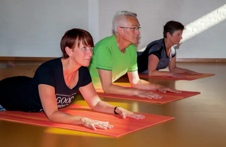 Hatha Yoga: livestream @ Life-Force Yoga & mindfulness