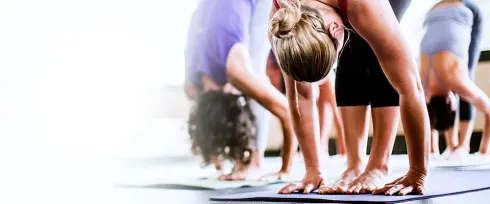 "Yoga-Kurs "Hatha-Yoga für Anfänger und Yoga-Erfahrene"- ab 23.01.2025 @ Yoga und Ayurveda Zentrum Hofheim