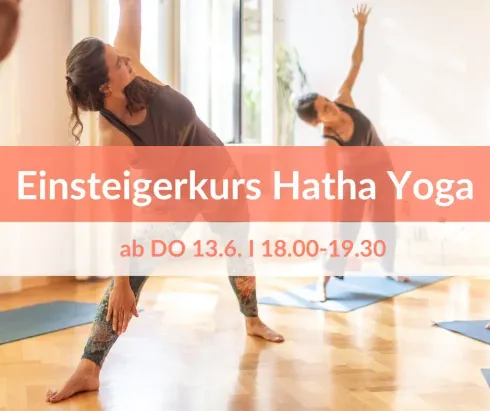 Kurs: Yoga für Einsteiger - ab 13.6. @ Yogahaus Dresden