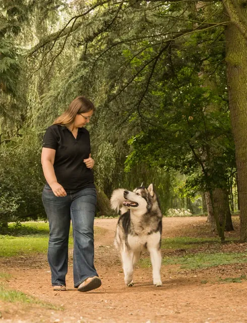 Alltagstraining für junge Erwachsene @ Martin Rütter Hundeschule Wiesbaden / Main-Taunus-Kreis