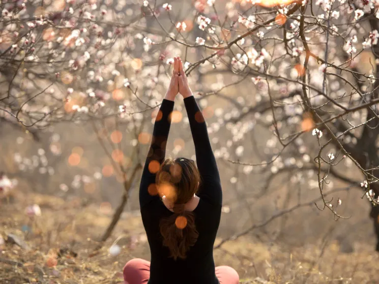 Im Fluss der Jahreszeiten mit Yoga & Meditation: Frühling I mit Ricarda @ Home of Yoga Westerstede