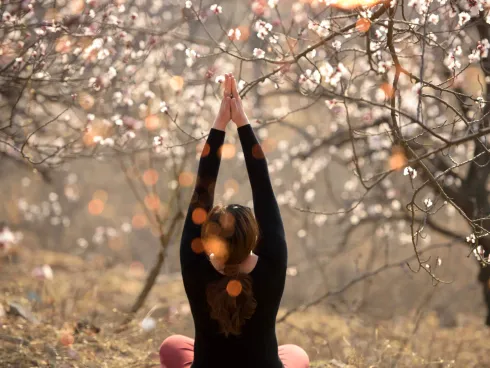 Im Fluss der Jahreszeiten mit Yoga & Meditation: Frühling I mit Ricarda @ Home of Yoga Westerstede