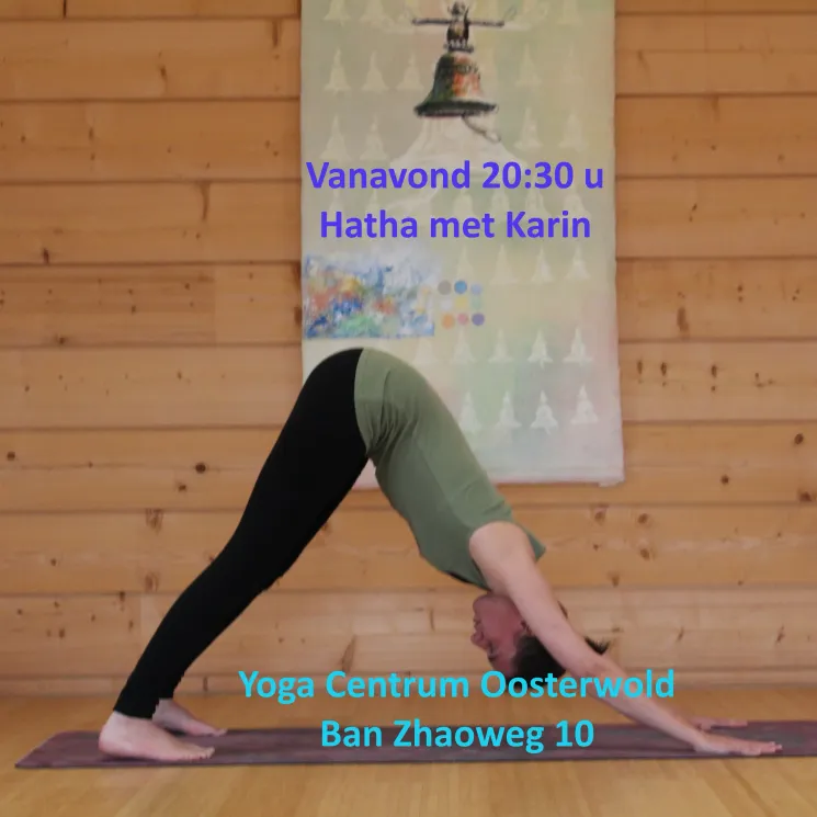 Iyengar Yoga @ Yoga Centrum Oosterwold