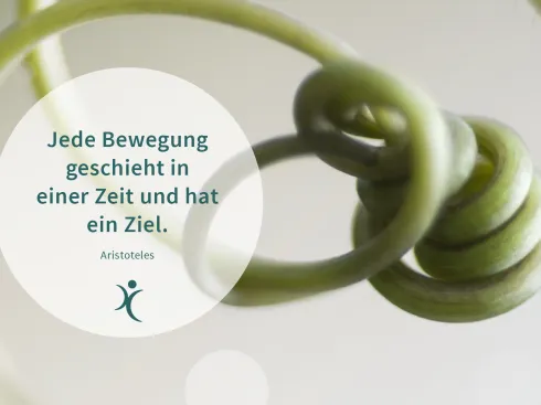 Anbieter Bild 4