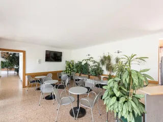 Dieser Anbieter hat keine Bildbeschreibung für dieses Bild hinterlegt