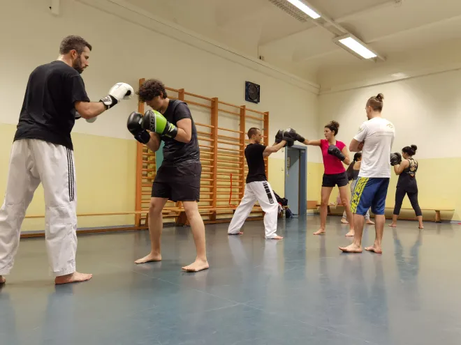 Austrian Masters Academy
