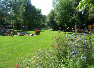 Sport und Freizeitzentrum alte Donau