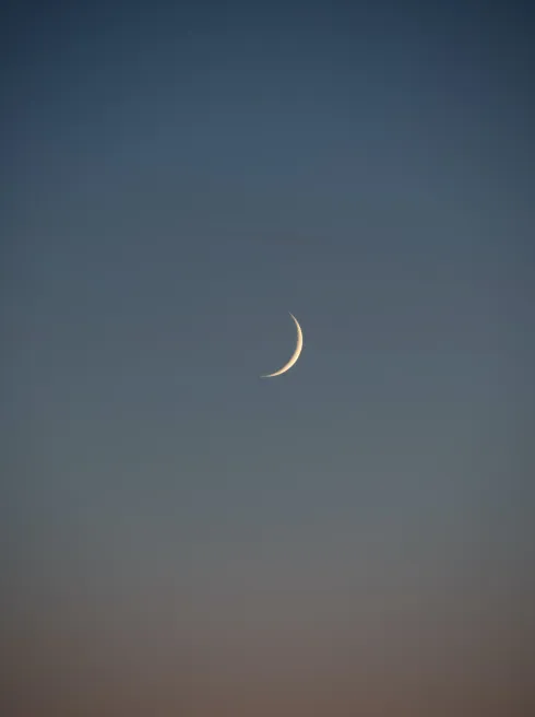 Dieser Anbieter hat keine Bildbeschreibung für dieses Bild hinterlegt