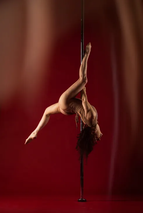 Advance  Poledance Trainer Ausbildung ONLINE @ VerticalKay PoleDance & AerialArts Studio (Salzburg)
