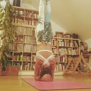 Dieser Anbieter hat keine Bildbeschreibung für dieses Bild hinterlegt