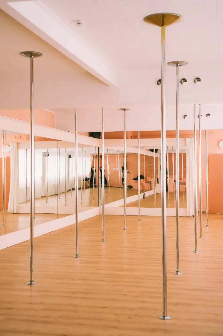 Online Pole Beginners (with experience) @ Pole Flow Berlin