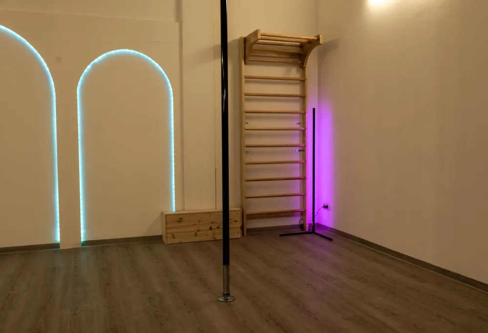 IronX Poledance & Fitness