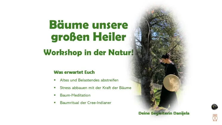 Baumritual der Cree-Indianer und Baummeditation @ Schamanische Workshops und Meditationskurse