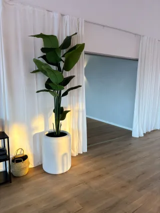 Dieser Anbieter hat keine Bildbeschreibung für dieses Bild hinterlegt