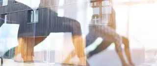 Dieser Anbieter hat keine Bildbeschreibung für dieses Bild hinterlegt