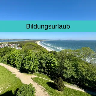 Dieser Anbieter hat keine Bildbeschreibung für dieses Bild hinterlegt