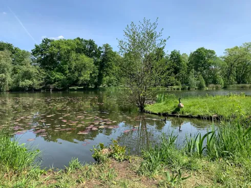 Yin Yoga ganz entspannt ONLINE @ Yoga and More -Farhad Djabbari-