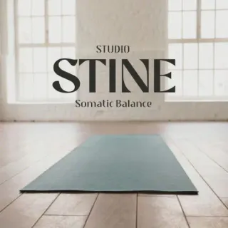 Studio Stine