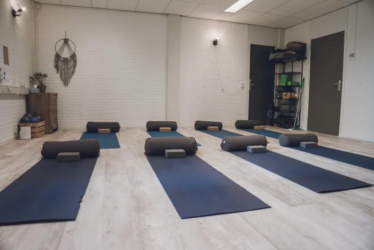  restorative yoga shala 2 Zoom online @ Yogapoint Woerden