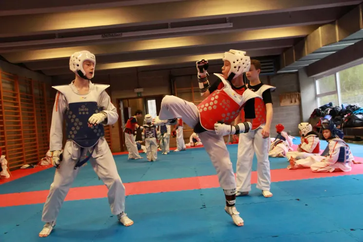 Cours Généraux - PUP/DEB (5 à 8 ans) - Walhain @ Sonbae Taekwondo Academy