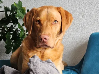 Dieser Anbieter hat keine Bildbeschreibung für dieses Bild hinterlegt