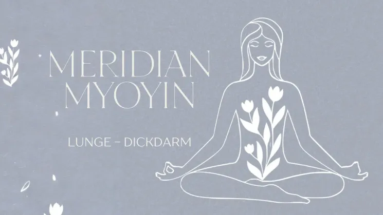 Meridian MyoYin für ein starkes Immunsystem l Lunge-Dickdarm @ Yoga Sky Berlin
