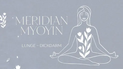 Meridian MyoYin für ein starkes Immunsystem l Lunge-Dickdarm @ Yoga Sky Berlin