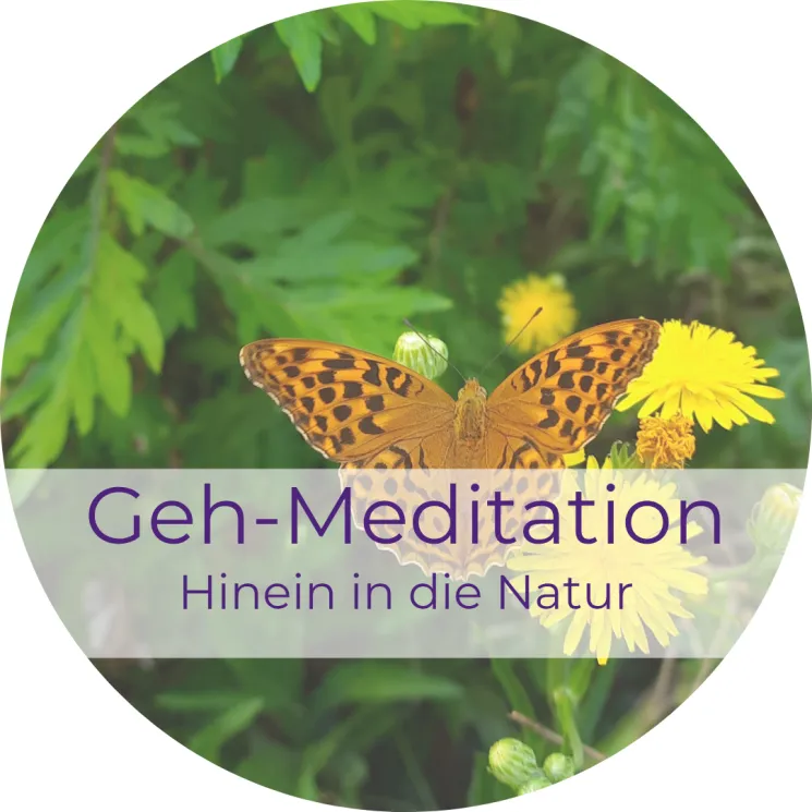 Geh-Meditation - Hinein in die Natur @ Energie in Bewegung