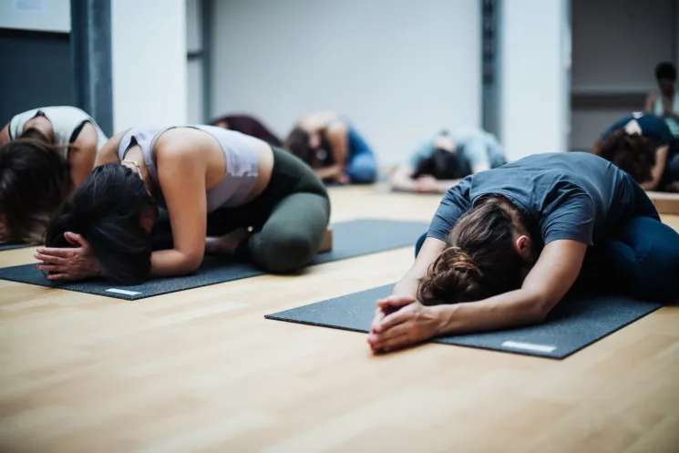 Yin Yoga (ONLINE) | LEVEL 1 @ TRIBE Yoga Base