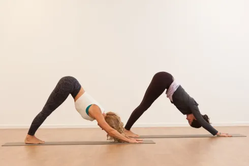 Le studio n'a pas fourni de description pour cette image