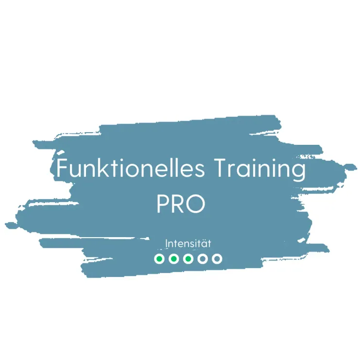 Funktionelles Training - PRO (Dienstag 19 Uhr) @ Funktionelle Chiropraktik