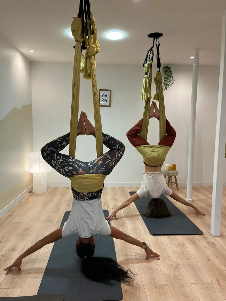 Formation Yoga Aérien 25 Heures Lyon - du 3 au 5 aout 2026 @ Pandi Panda Yoga