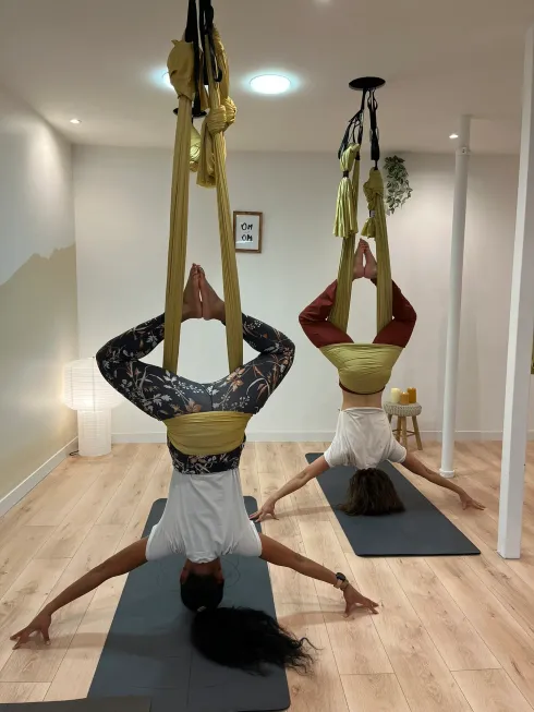 Formation Yoga Aérien 25 Heures Lyon - du 3 au 5 aout 2026 @ Pandi Panda Yoga