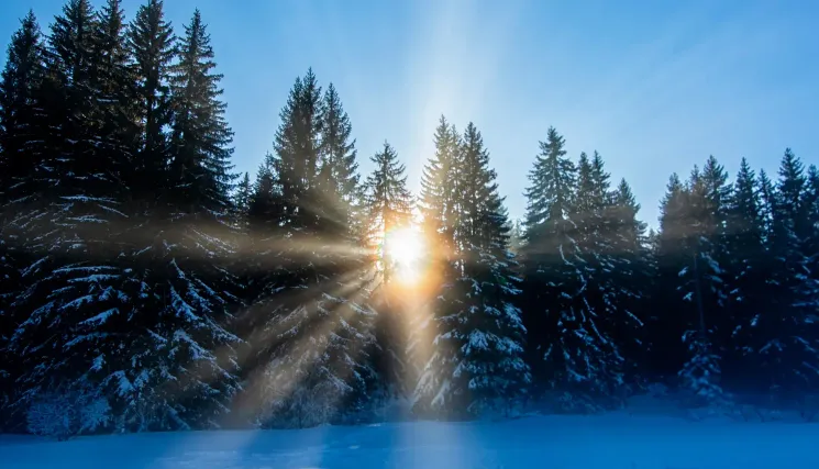 Der Zauber des Neubeginns @ YOGALIFE Graz