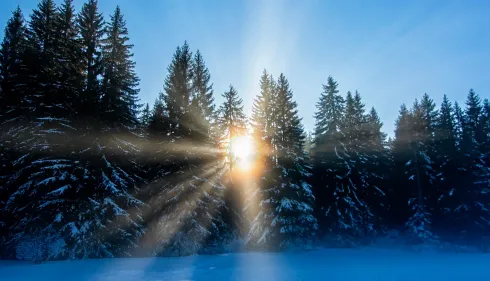 Der Zauber des Neubeginns @ YOGALIFE Graz