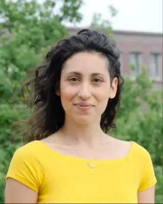 Chrysi