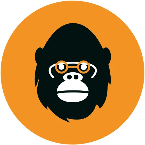 Oti2Go Live Stream @ Skillbeast Jungle