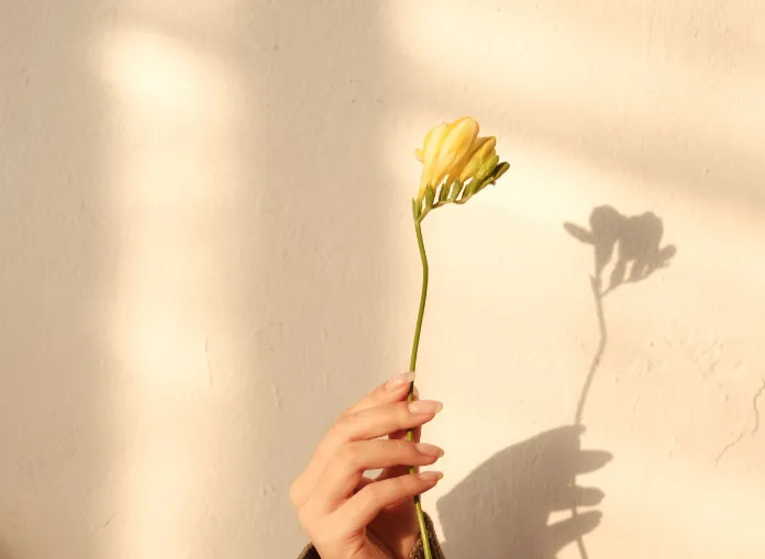 MEDITATION + JOURNALING ( I am Grateful ) w/ Bettina @ STUDIO MOND