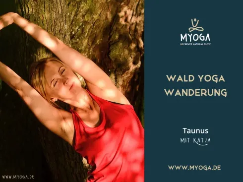 Wald-Wander-Yoga im Taunus am 3. Oktober @ MYOGA