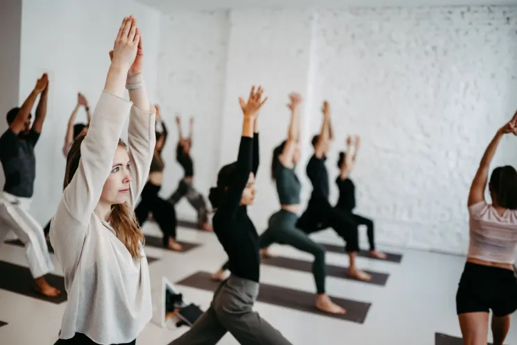 VINYASA FLOW 🌿 Level II 🇬🇧 @LIVESTREAM @ Lotos Live Online