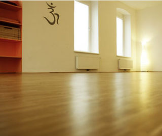 Yogainstitut Karin Janecek
