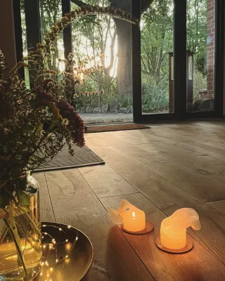 Dieser Anbieter hat keine Bildbeschreibung für dieses Bild hinterlegt