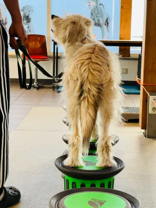 Dieser Anbieter hat keine Bildbeschreibung für dieses Bild hinterlegt