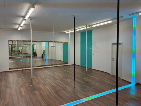 Stretching Workshop mit Ivi @ Polestudio OÖ - Weißkirchen