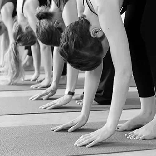 Präsenz: Hatha Yoga Grundlagenkurs - Montag 18.00 Uhr @ Yoga Institut München