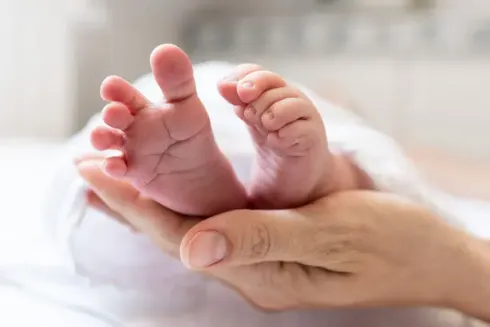 BabySinne (6-12 Mte.), DI, 10:30-11:15 Uhr, 14.04. - 09.06.2026 (Ersatztermin: 16.06.) @ Die FamilienBox